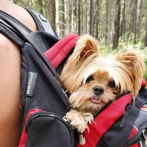 Meet your Posher, Paul